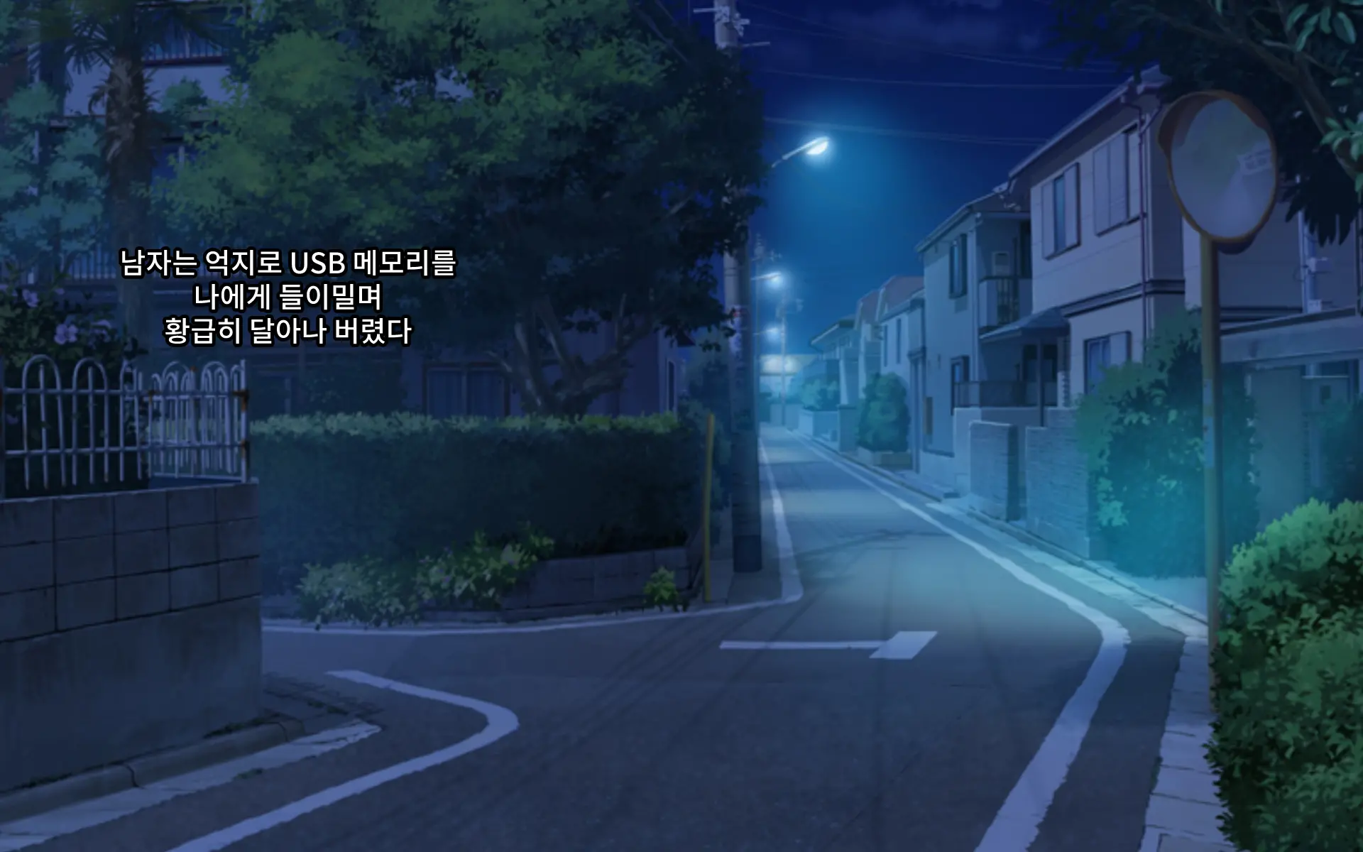 Seigi No Heroine Tatakai No Kiroku | 정의의 히로인 전투기록